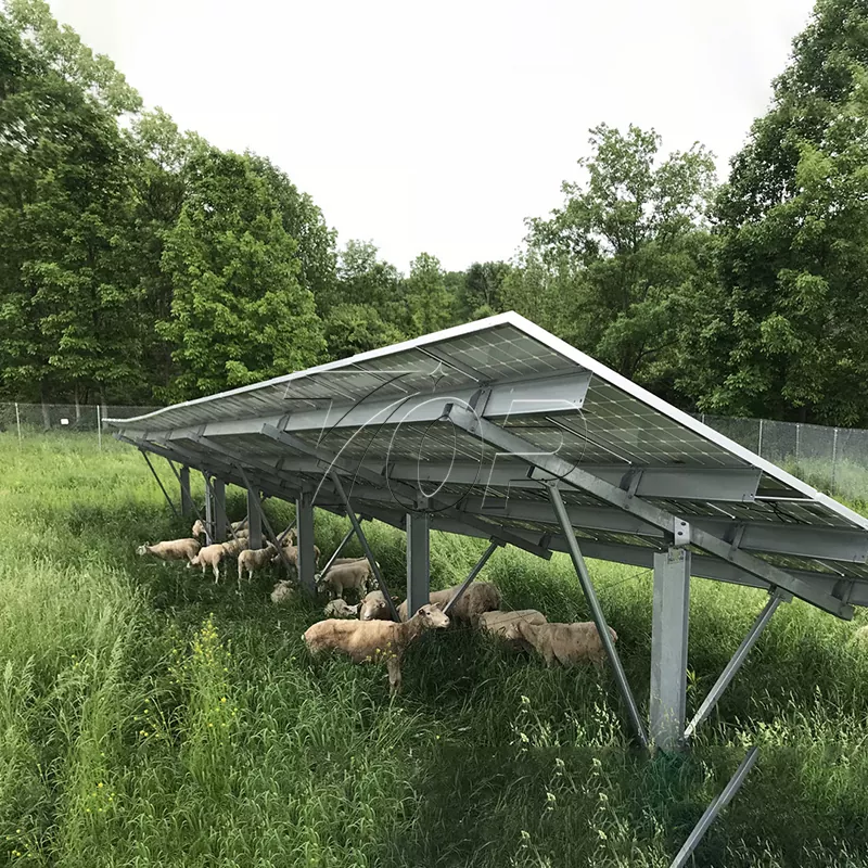 Panele słoneczne dla gospodarstw rolnych: pomoc w zrównoważeniu energii w rolnictwie na wyższy poziom!