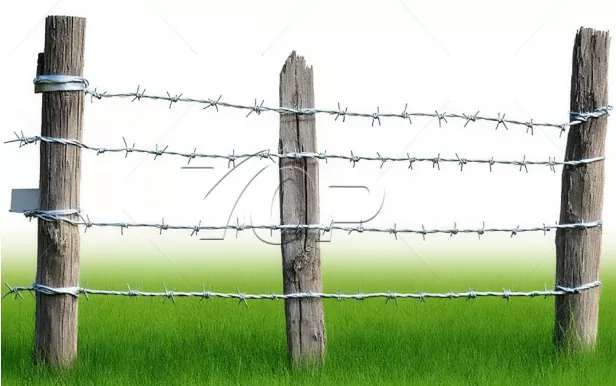 Double Twisted Barbed Wire Fence